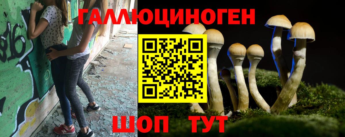Псилоцибиновые грибы MAGIC MUSHROOMS Владимир