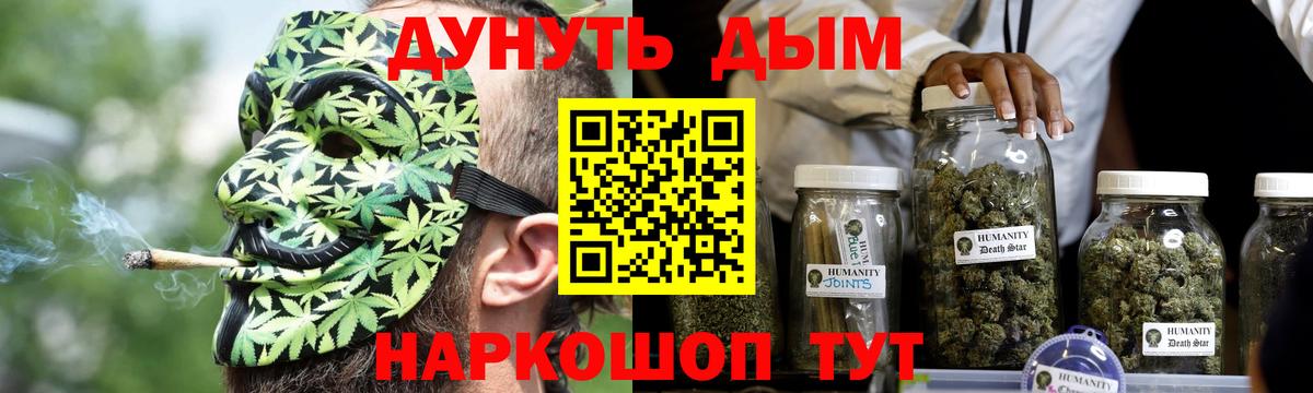 Каннабис семена Владимир